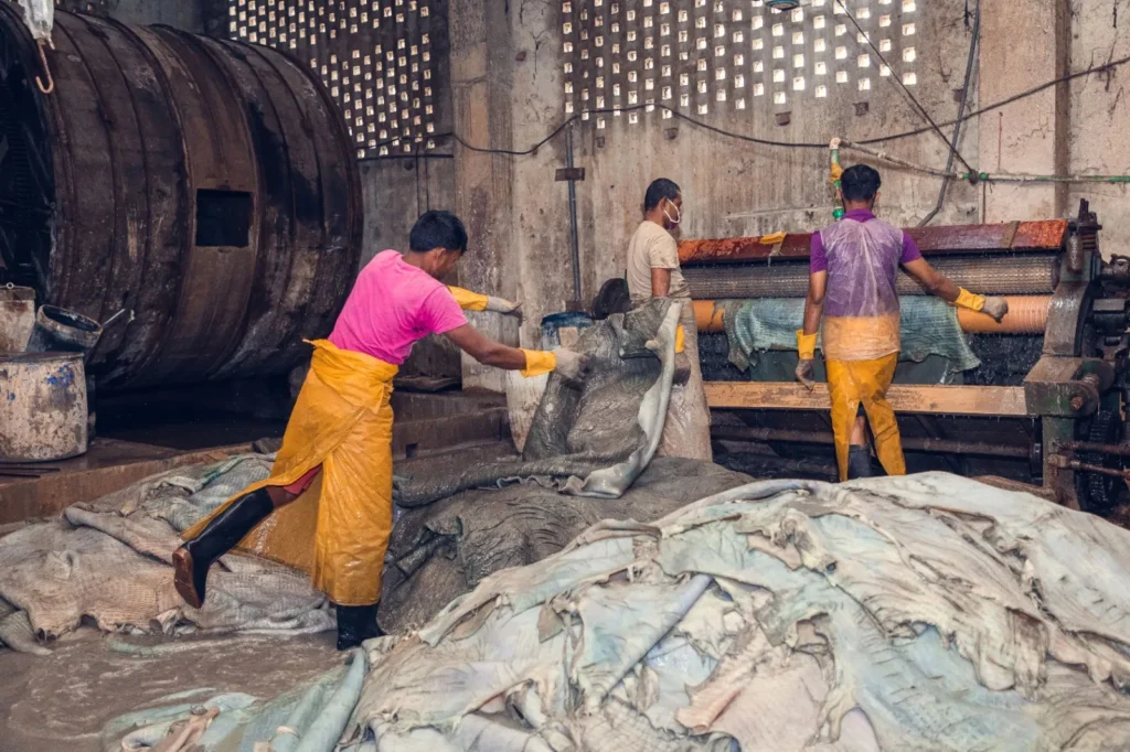 Rawhide Crisis in Bangladesh